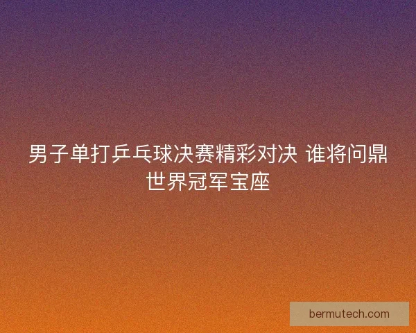 男子单打乒乓球决赛精彩对决 谁将问鼎世界冠军宝座